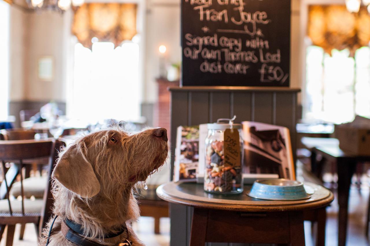 The Thomas Lord Hotel West Meon Bagian luar foto